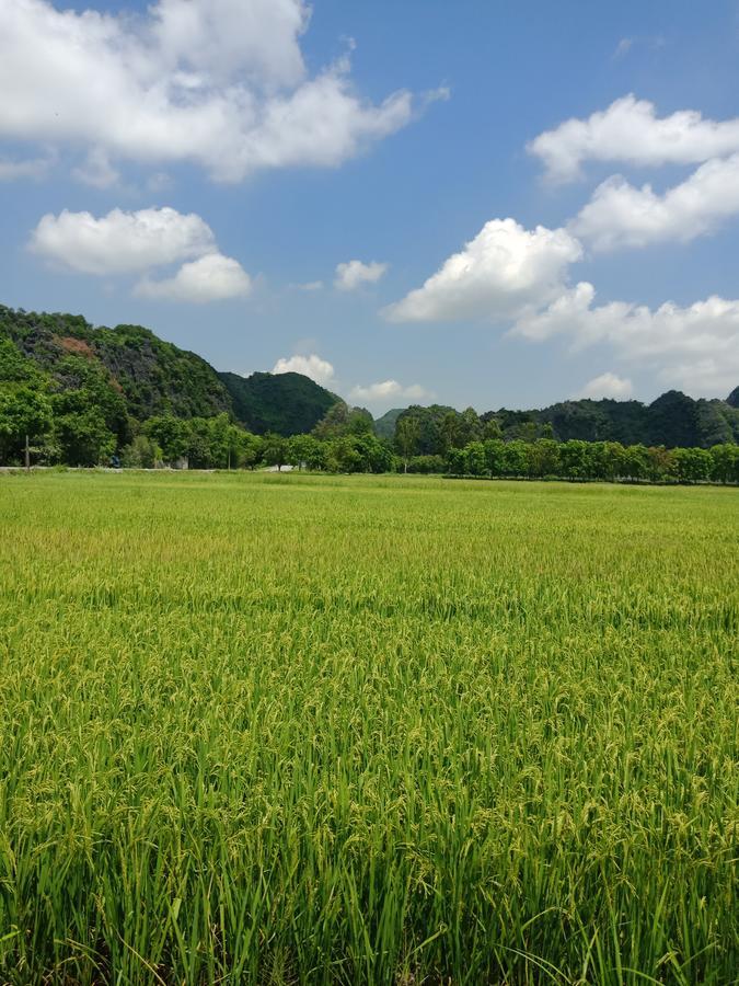 Tam Coc Valley Van Lam