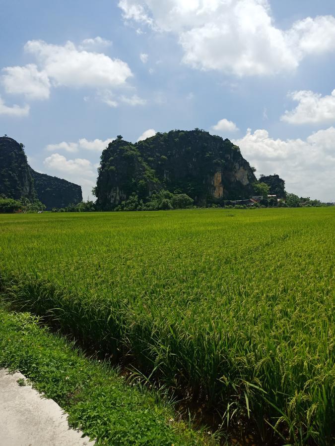 Tam Coc Valley